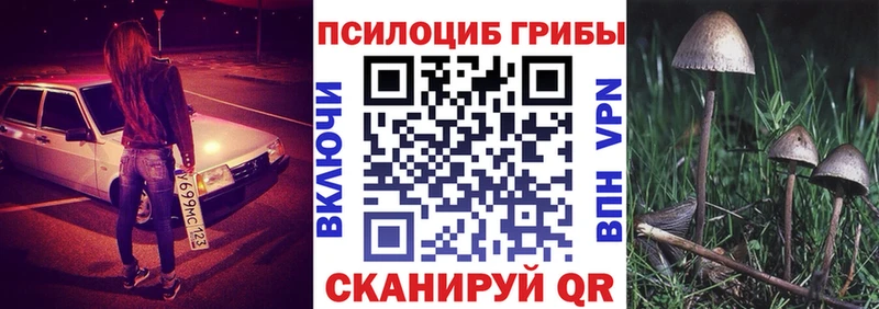 как найти omg ссылка Псилоцибиновые грибы мицелий Ялта