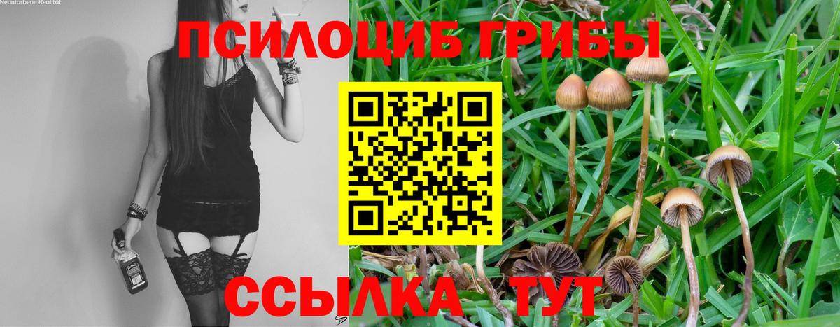 Галлюциногенные грибы Psilocybine cubensis  Вход с VPN  Псилоцибиновые грибы мухоморы  Ялта 