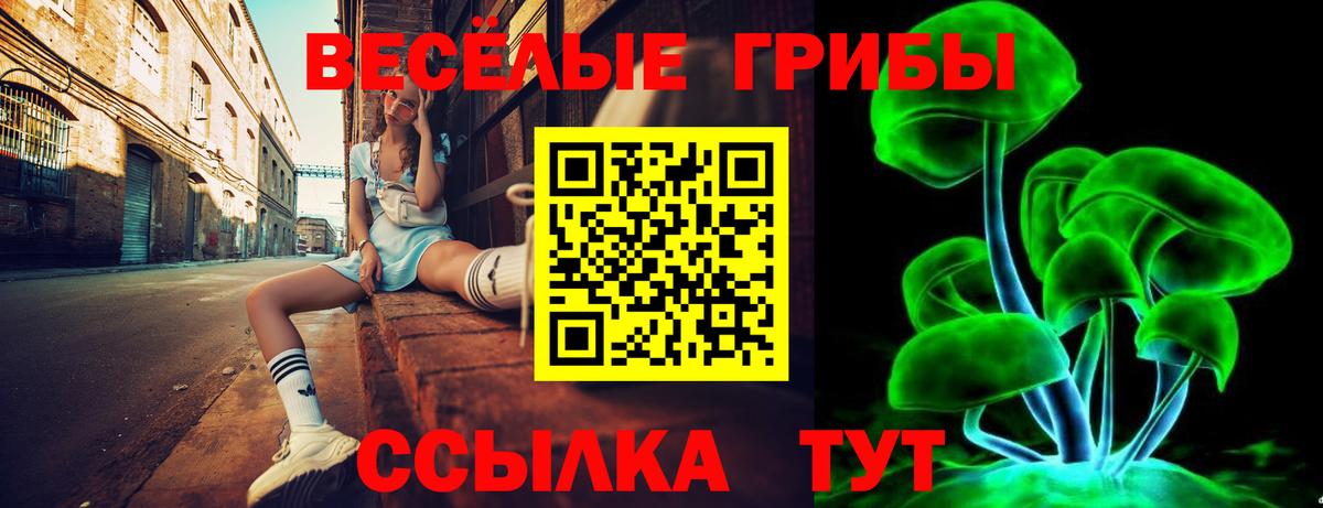 Псилоцибиновые грибы Magic Shrooms Ялта