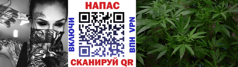 Марихуана семена  Ялта 